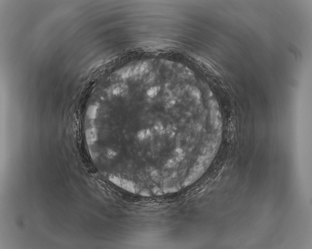 X0000112910917200909211028