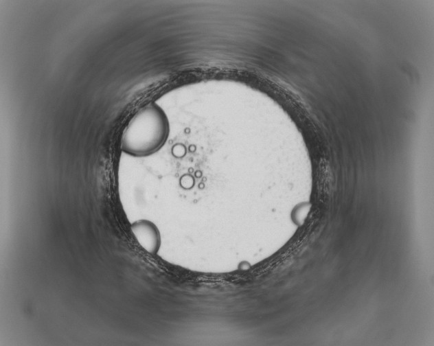 X0000112910918200909211028