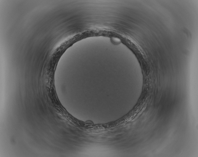 X0000112910919200909211028