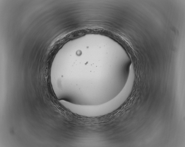 X0000112910920200909211028