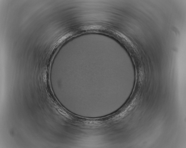 X0000112910921200909211028