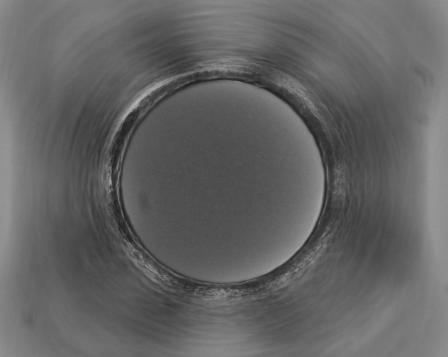 X0000112910923200909211028