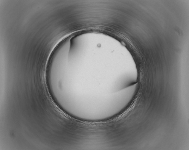 X0000112910924200909211028