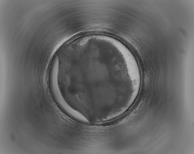 X0000112910925200909211028