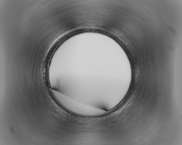 X0000112910926200909211028