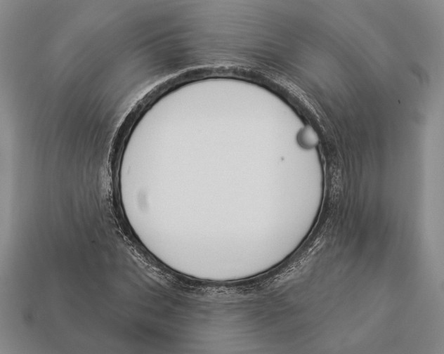 X0000112910927200909211028