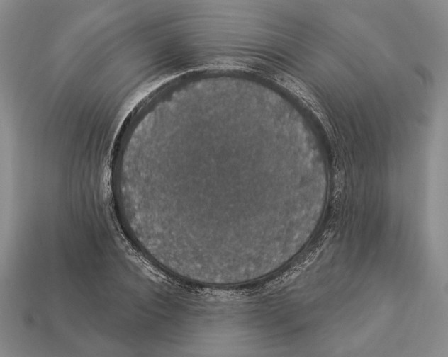 X0000112910928200909211028