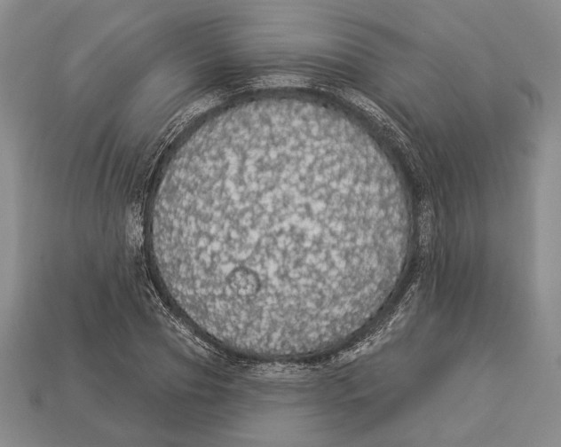 X0000112910929200909211028