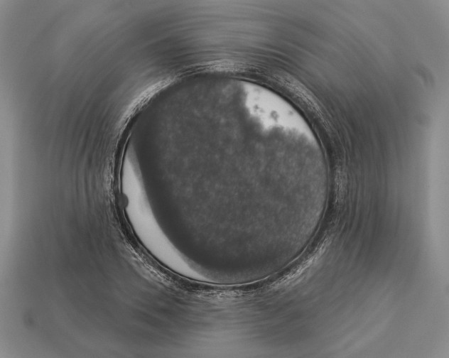 X0000112910930200909211028