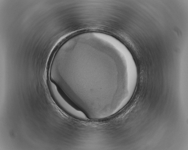 X0000112910932200909211028