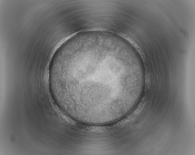 X0000112910933200909211028