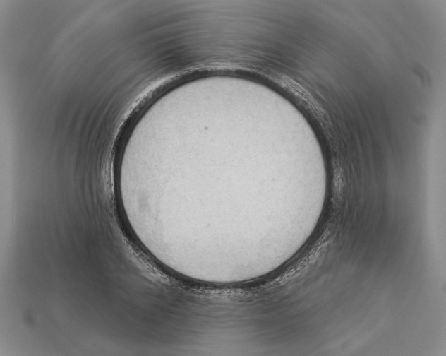 X0000112910934200909211028