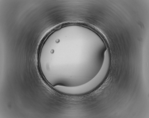 X0000112910935200909211028