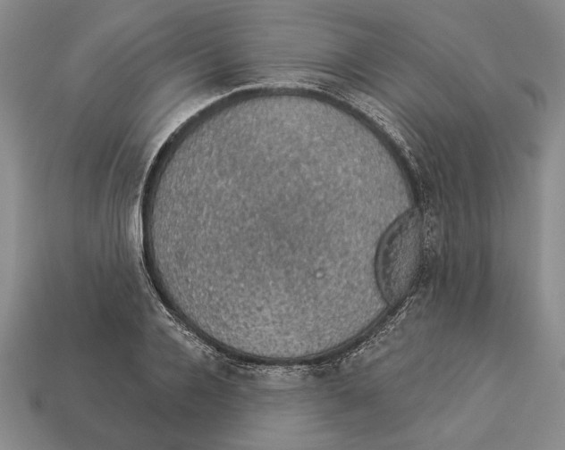 X0000112910936200909211028