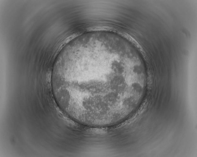 X0000112910937200909211028