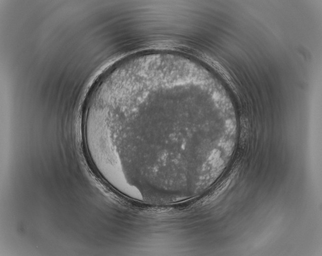 X0000112910939200909211028