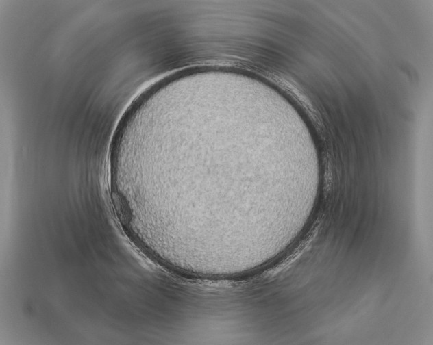 X0000112910940200909211028