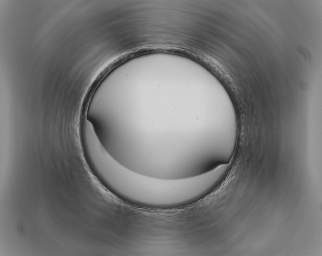 X0000112910942200909211028