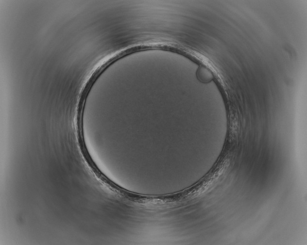 X0000112910943200909211028