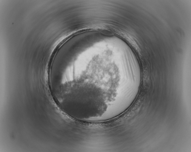 X0000112910944200909211028