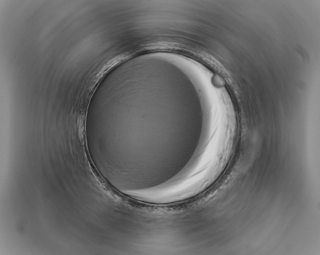 X0000112910945200909211028