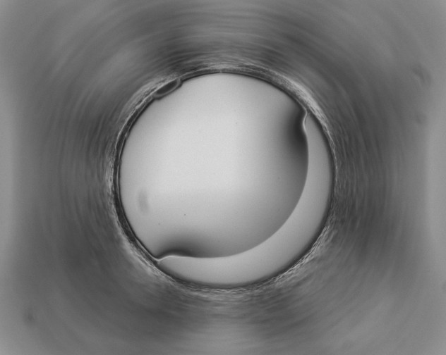 X0000112910946200909211028