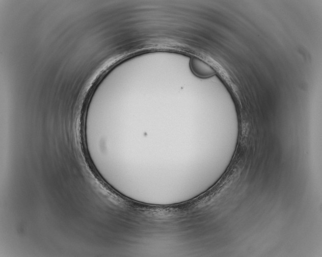 X0000112910947200909211028