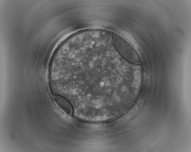 X0000112910948200909211028