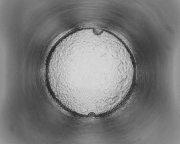 X0000112910949200909211028