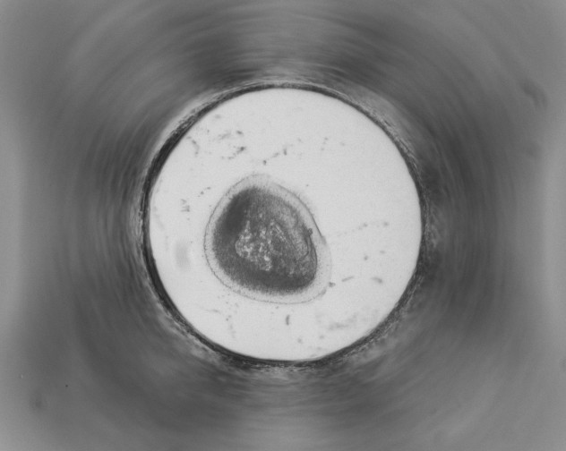 X0000112910950200909211028