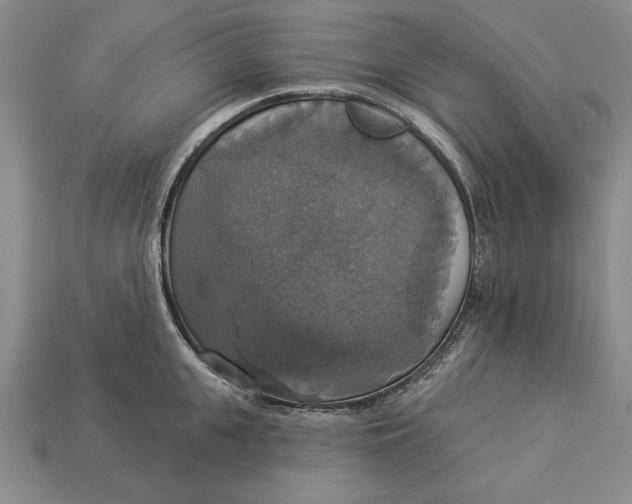 X0000112910951200909211028