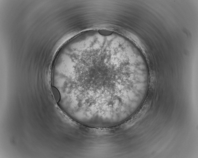 X0000112910952200909211028