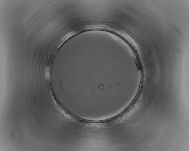 X0000112910953200909211028