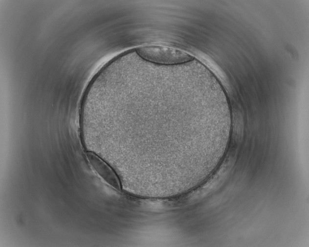 X0000112910956200909211028