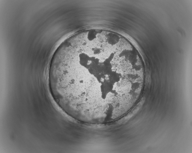 X0000112910957200909211028