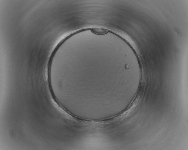 X0000112910958200909211028