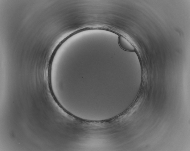 X0000112910959200909211028