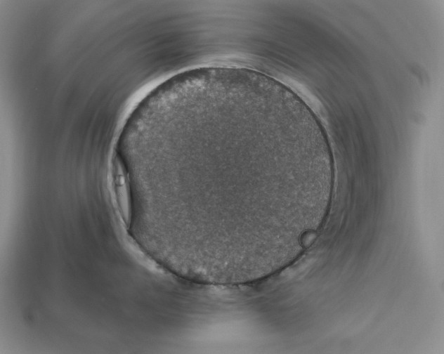 X0000112910960200909211028