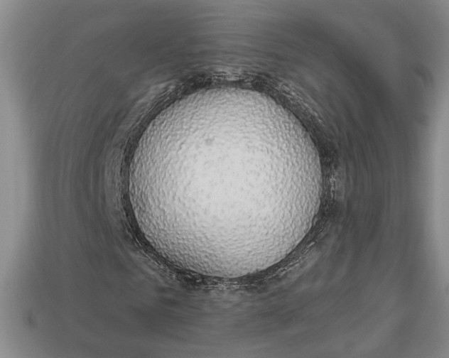 X0000112910961200909211028