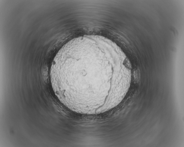 X0000112910963200909211028