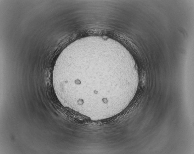 X0000112910964200909211028