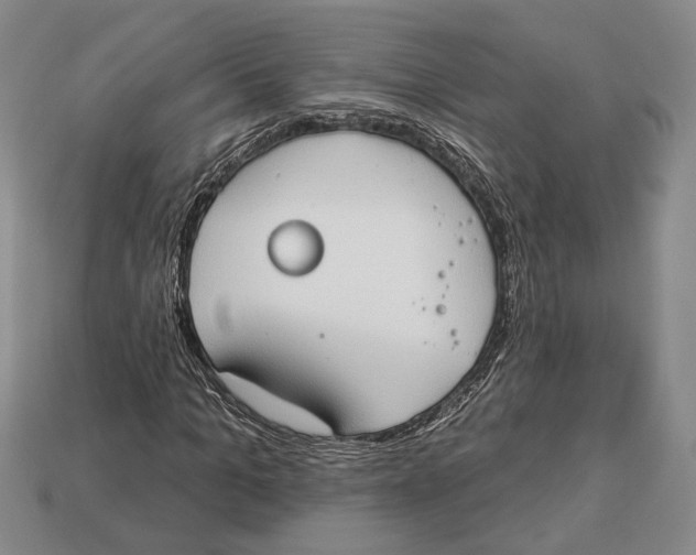 X0000112910965200909211028