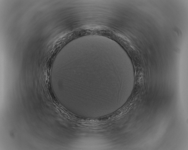 X0000112910966200909211028