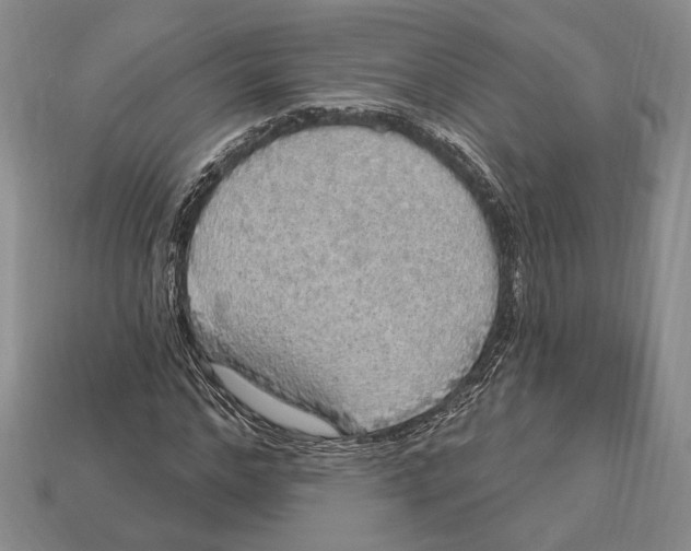 X0000112910968200909211028