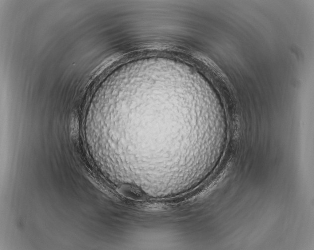 X0000112910969200909211028