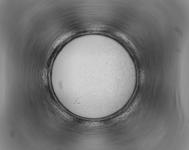 X0000112910970200909211028