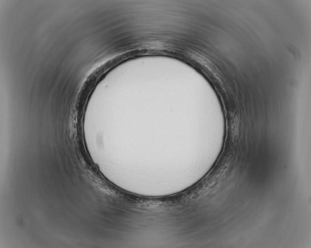 X0000112910971200909211028