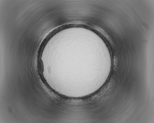 X0000112910972200909211028