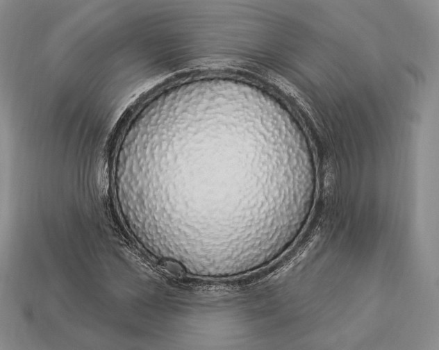 X0000112910973200909211028