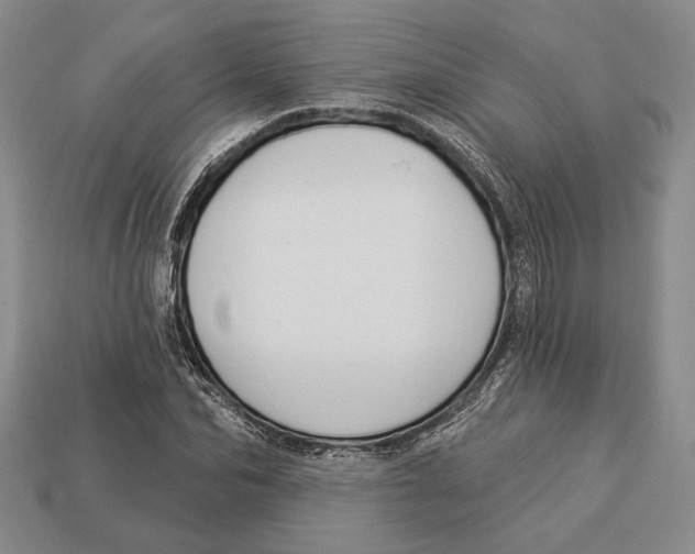 X0000112910974200909211028